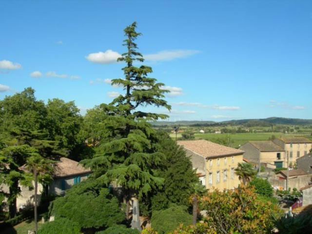 Chambres D'Hotes Le Clos De Venes Saint-Couat-dʼAude Eksteriør bilde
